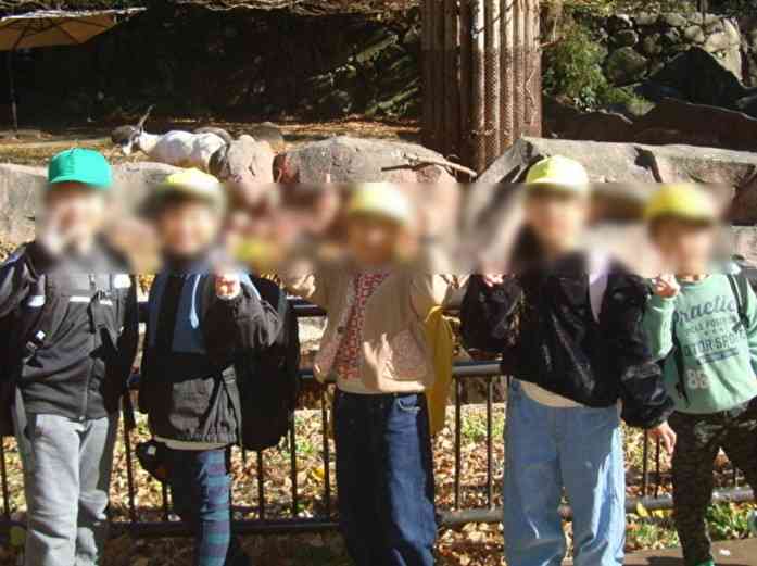 YgPBsMu1VjemiMs1765264805_1765264863