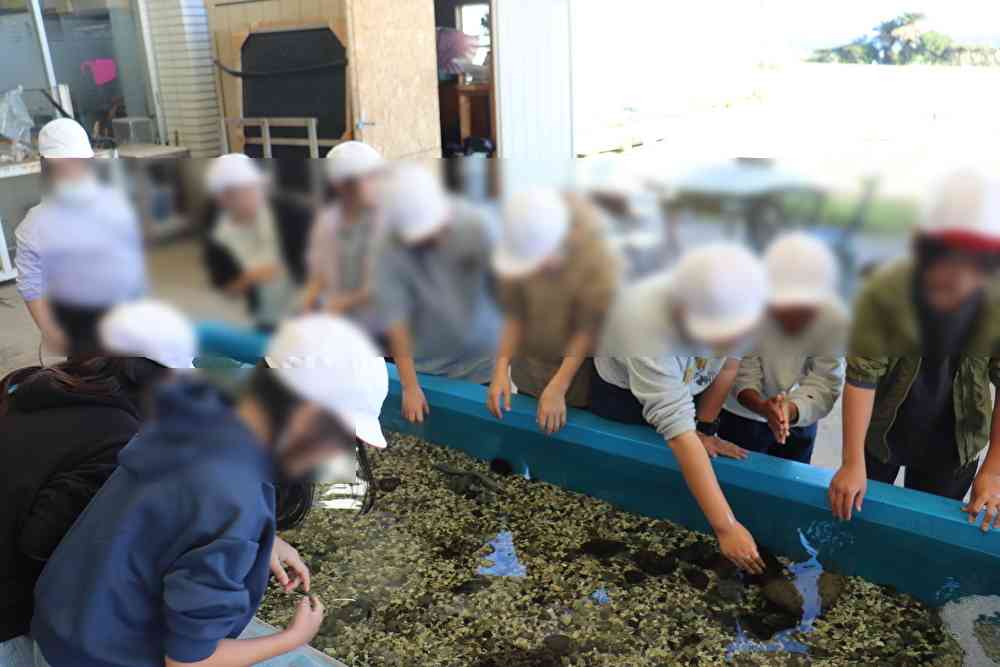 qBZiOrvSlR55UrL1765412661_1765412714